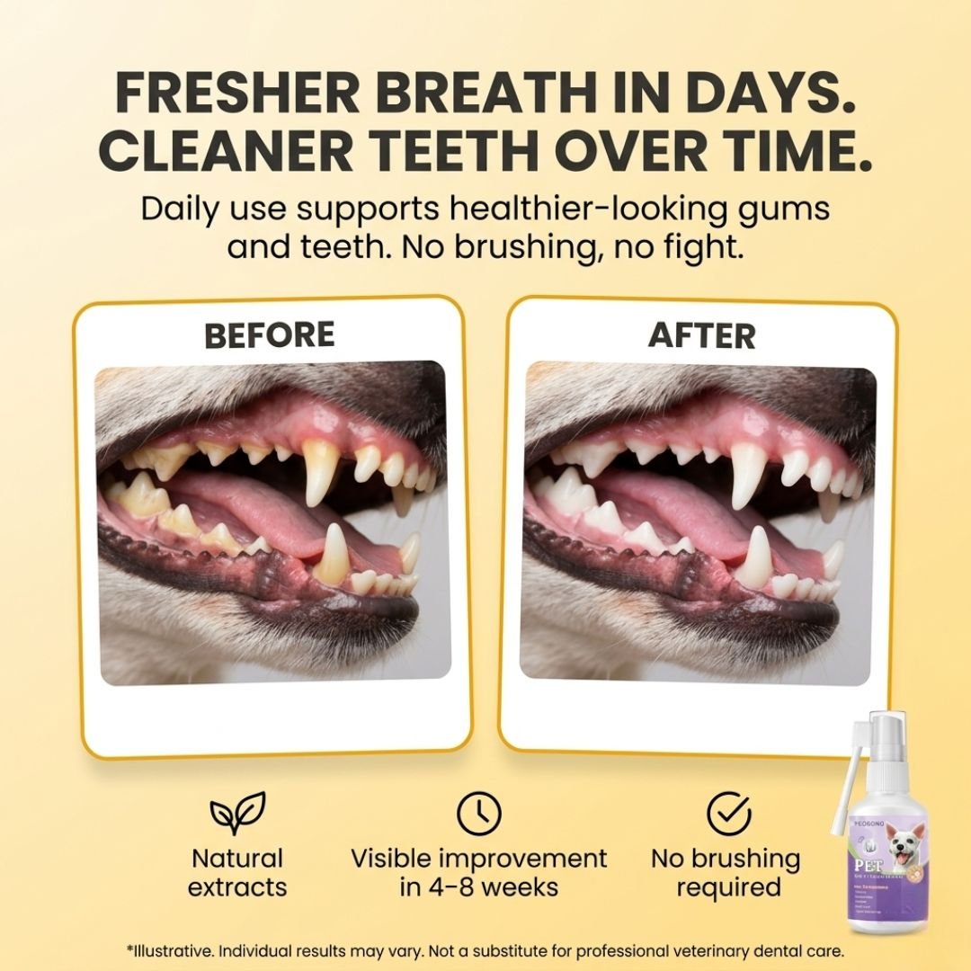 Dog dental spray before and after — visible plaque reduction